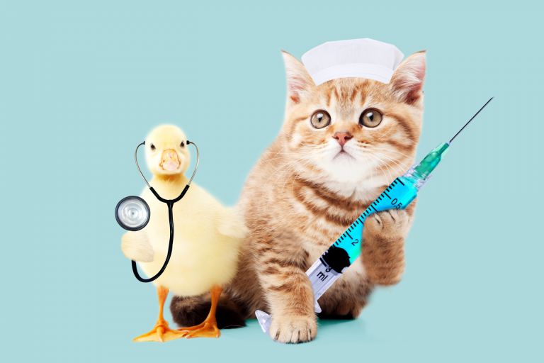 ホーチミンで進化する国際水準の医療と健康診断サービスの最前線